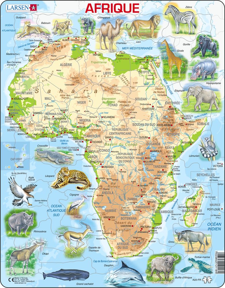 A22 - Africa Topographic Map (French) A22 - Africa Topographic Map (French)
