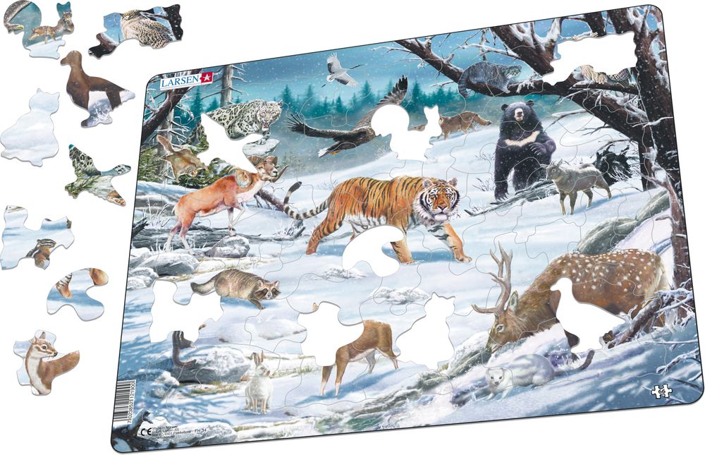 FH34 - Winter Wildlife in Siberia and Northeast Asia (Illustrative image 1)