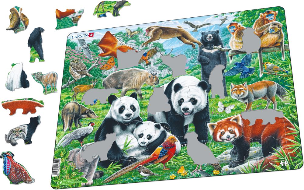 FH43 - Panda Bear Family on a China Mountain Plateau (Illustrative image 1)