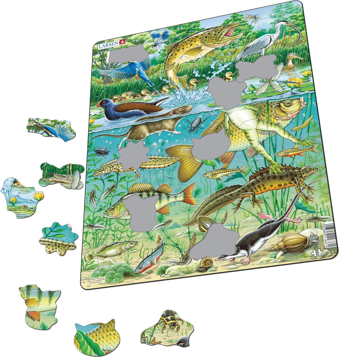 FH19 - European Aquatic Pond Ecosystem :: Animals :: Puzzles :: Larsen ...