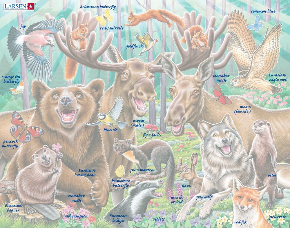 CZ2 - Happy Forest Selfie (Illustrative image 5) CZ2 - Happy Forest Selfie (Illustrative image 5)