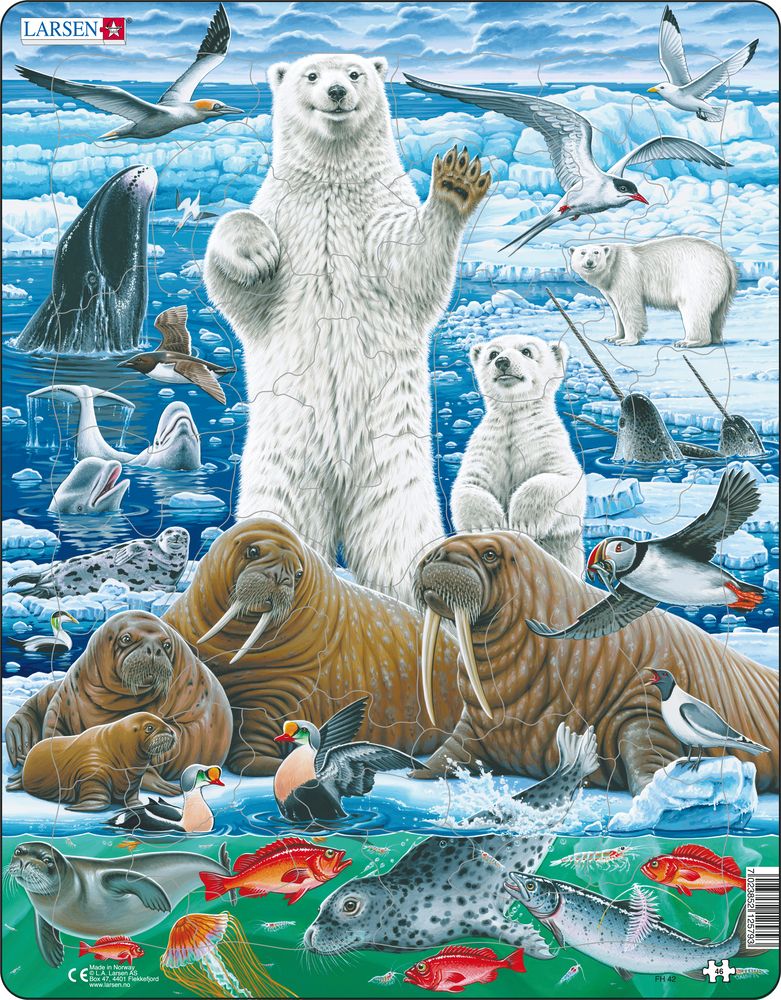 FH42 - Polar Bears and Walrus on the Artic Ice Pack (Neutral) FH42 - Polar Bears and Walrus on the Artic Ice Pack (Neutral)